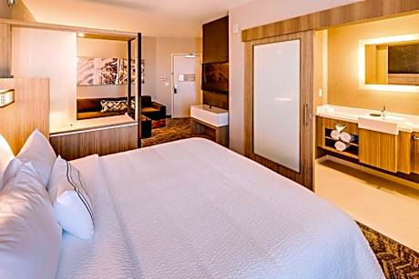 Executive Suite with Sofa Bed