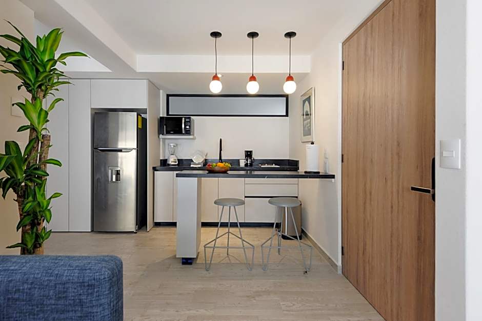 Choapan 28 - Lux Apartments in Condesa