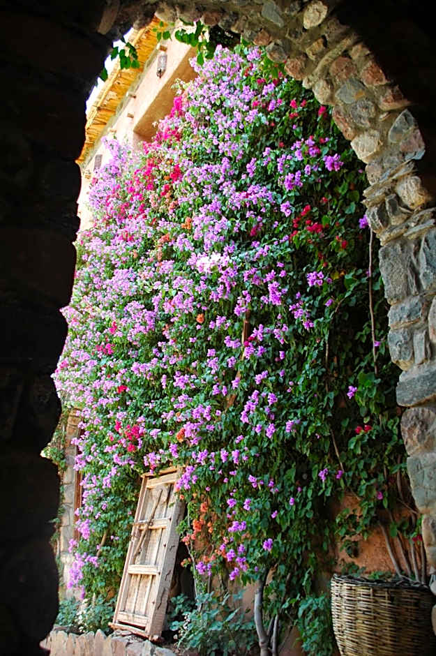 Auberge Chez Momo II