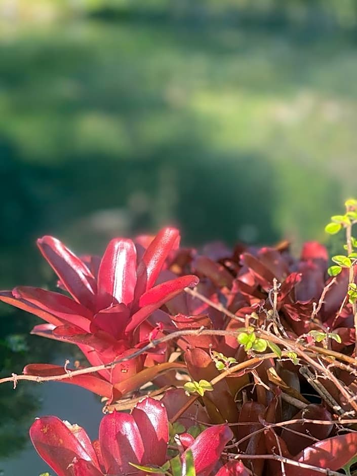 Le Domaine du Rocher Noir