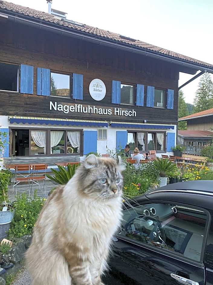 Nagelfluhhaus Hirsch