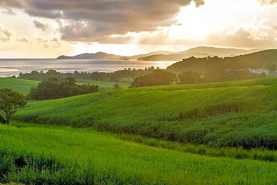 Le Domaine Saint Aubin