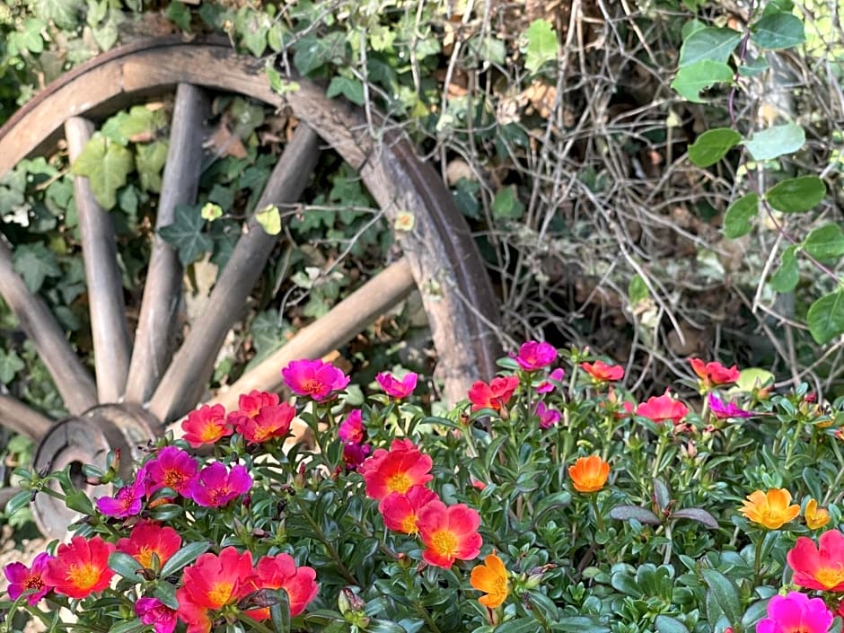 Chambres d'Hotes Raviere