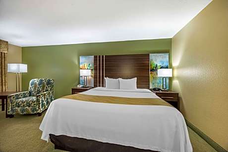 1 King Bed  No Smoking