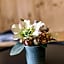Landhaus Hubertus Wellness & Breakfast