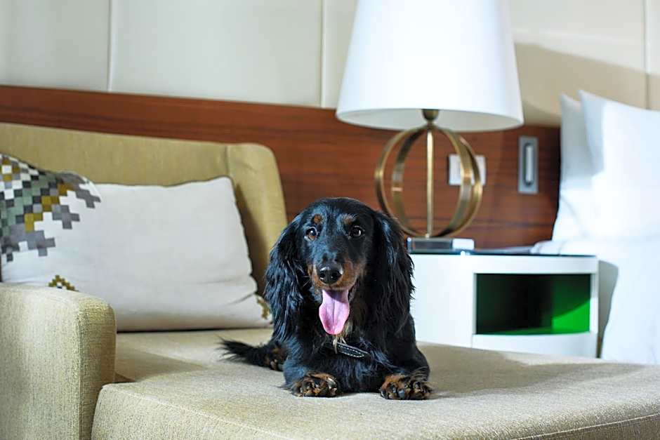 Renaissance Minsk Hotel