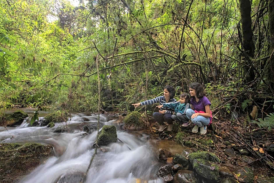 Dantica Cloud Forest Lodge