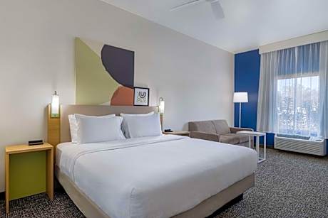 1 King Hearing Accessible With Sofabed