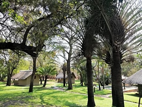 Shumba Safari Bush Camp