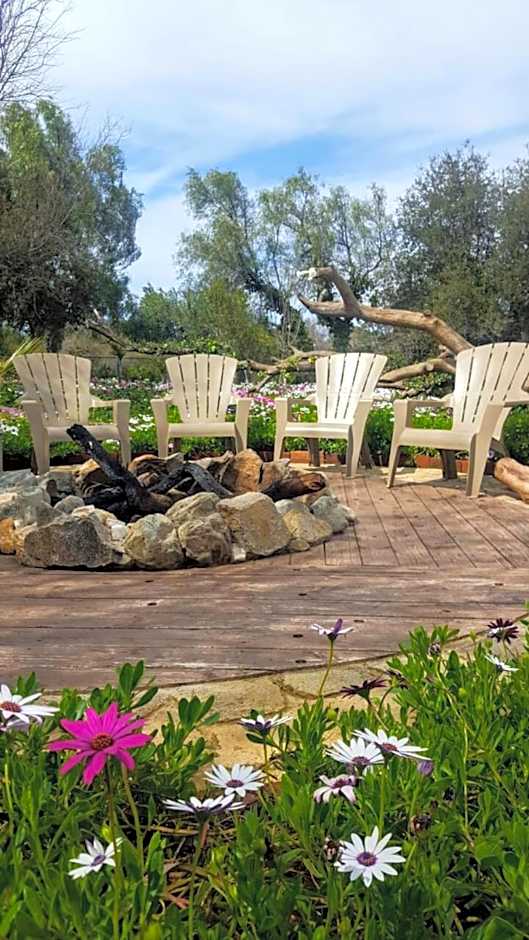 Quinta Arratz