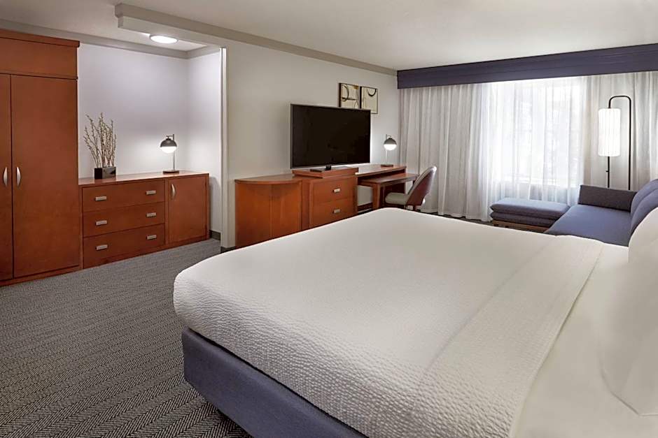 Photo 1 of 5 of Junior King Suite with Kitchenette and Sofa Bed