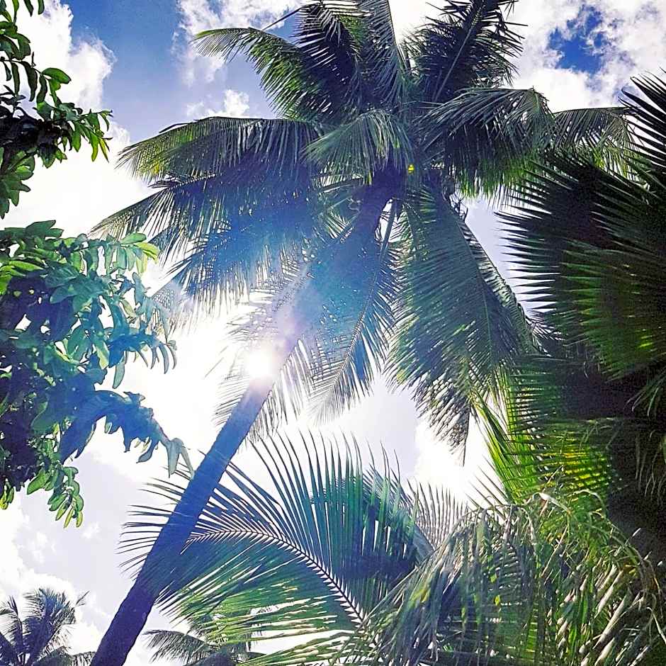 Green's Hostel Nungwi