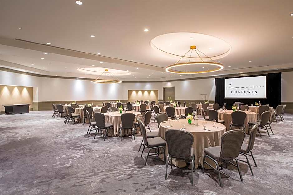 C. Baldwin, Curio Collection by Hilton