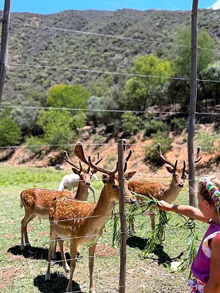 Old Mill Lodge, Seasonal Working Ostrich Farm & Restaurant, Oudtshoorn