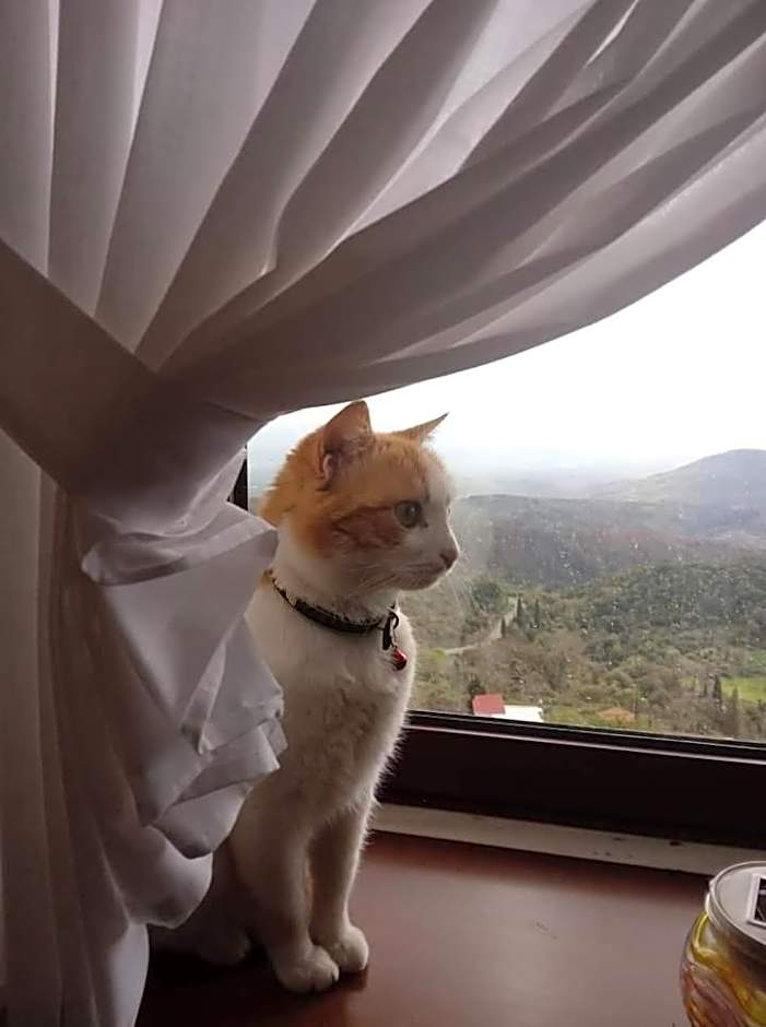 Hotel Isaraiko Spiti Agia Theodora