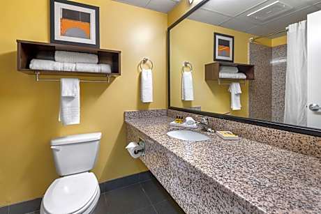 Suite-1 King Bed, Non-Smoking, Oversized Room, Two Person Whirlpool, Flat Tv, Sofabed, Microwave And