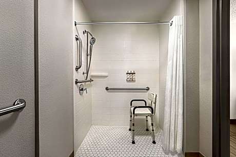 1 Queen Standard Comm Mobile Access Roll Shwr