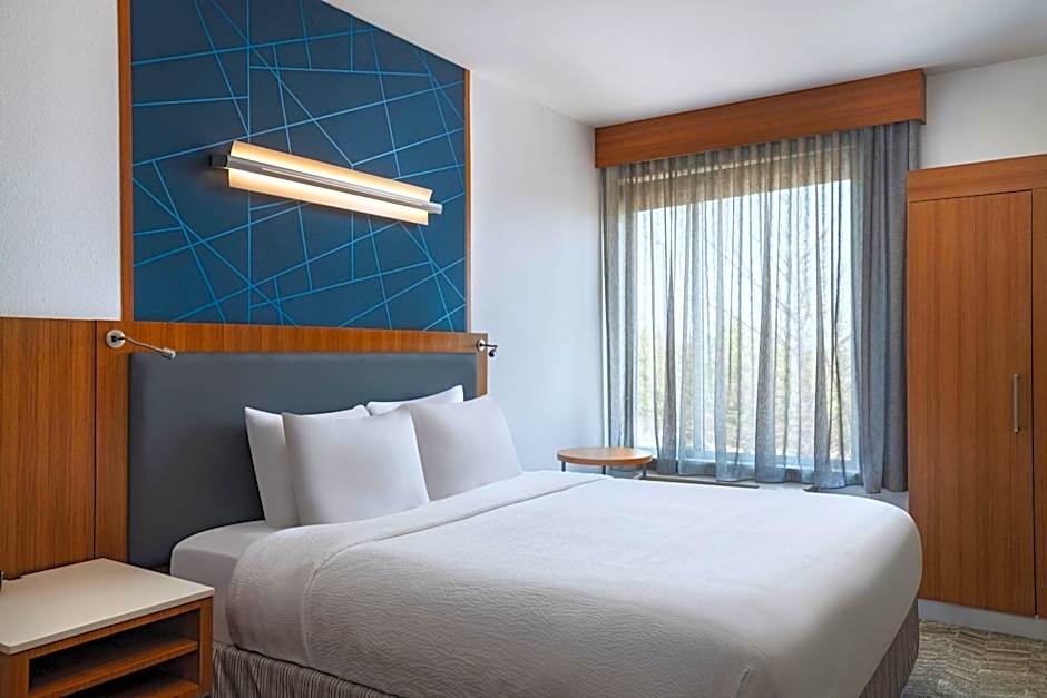 SpringHill Suites by Marriott Dallas Richardson/Plano