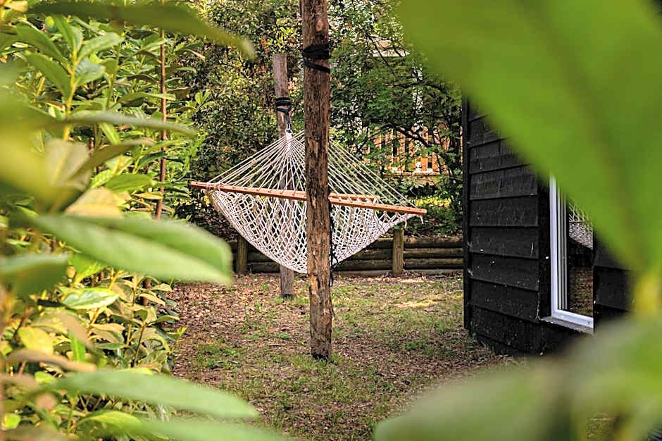 Tiny Damhert Veluwe Nature Escape