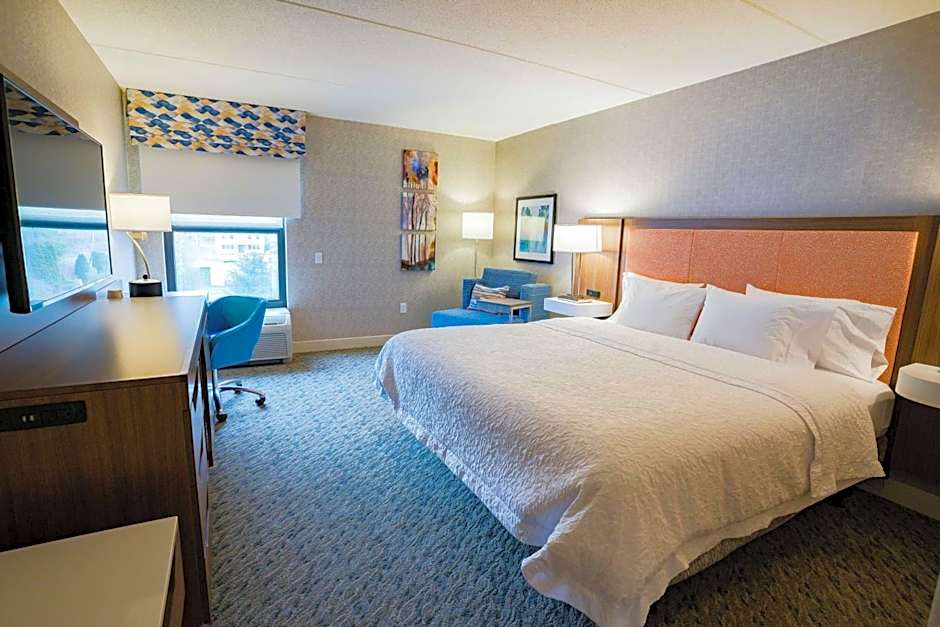 Photo 1 of 3 of 1 King Bed, Hearing/Mobility Accessible, Bathtub