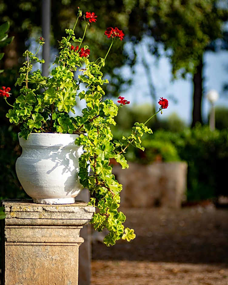 Antica Casina B&B di Charme