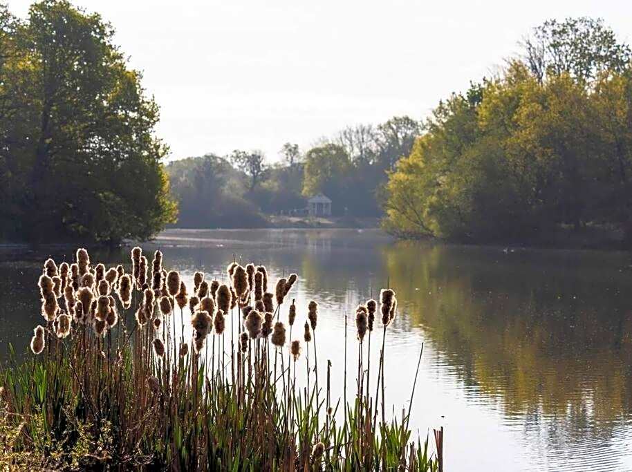 2 BR, Modern Urban Sanctuary 1CC - Cherrydeal