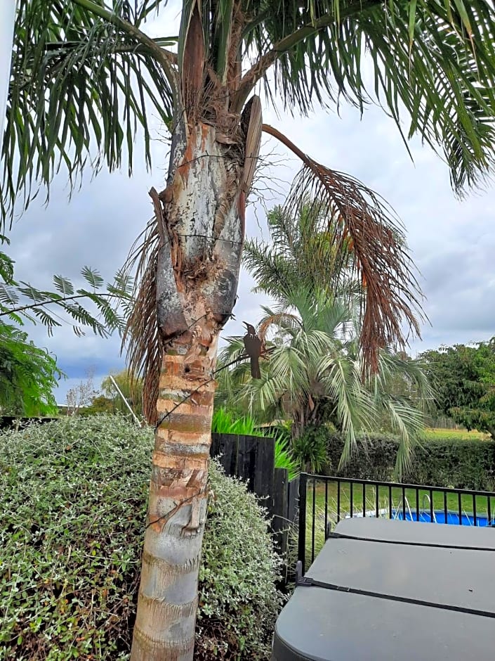 Tui Glade Bed and Breakfast