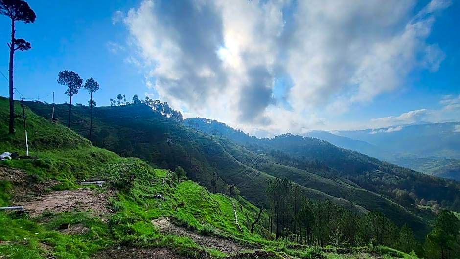 Adaara Retreat - Pet Friendly Cottages