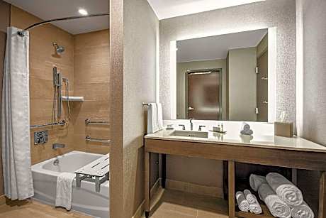 2 Qn Premium Suite Mobility Accessible Tub