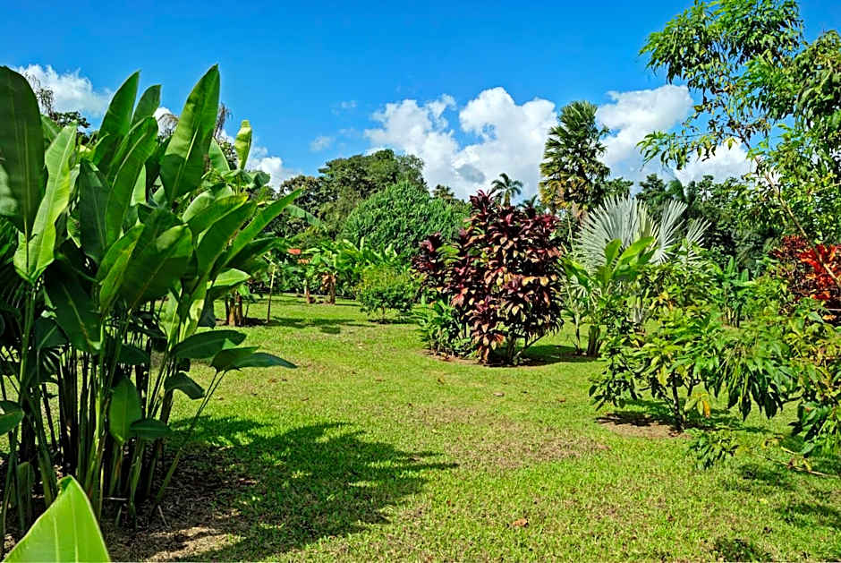 Volcano Lodge, Hotel & Thermal Experience