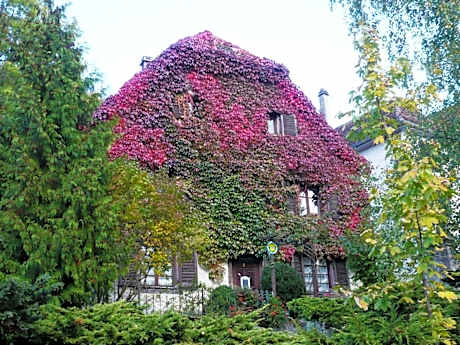 Maison des 5 Temps : Chambres d’hôtes de charme à Ferrette
