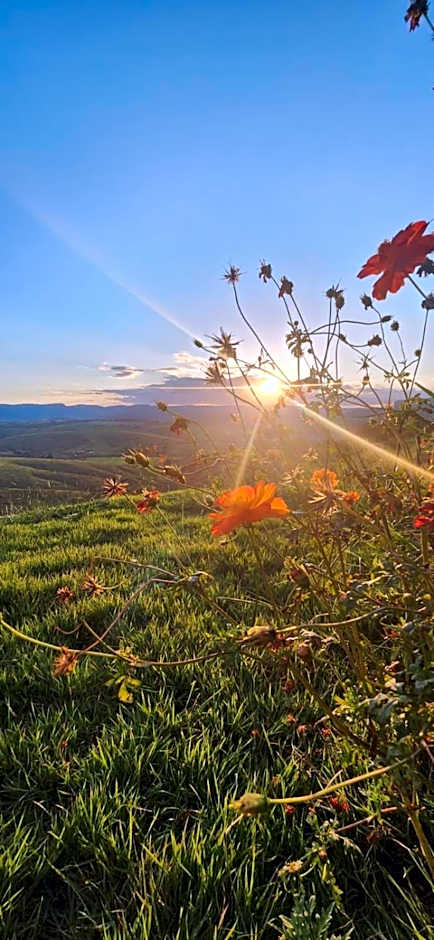 Colina da Canastra Pousada