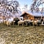 Kuttainen Lodge