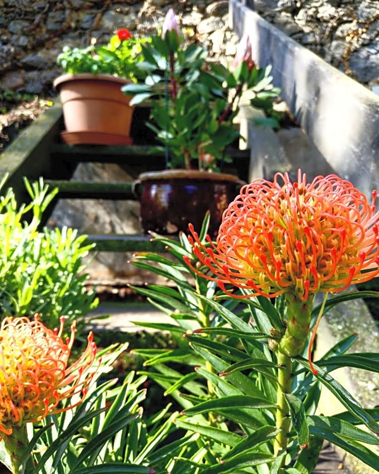 Hotel Pension Schweitzer