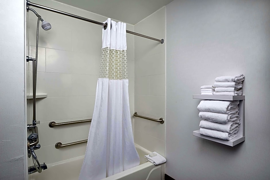 Photo 1 of 3 of 1 King Bed, Mobility Accessible, Bathtub