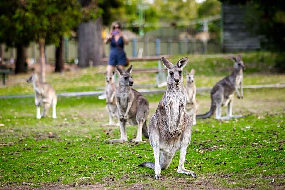 YHA Grampians Eco, Halls Gap