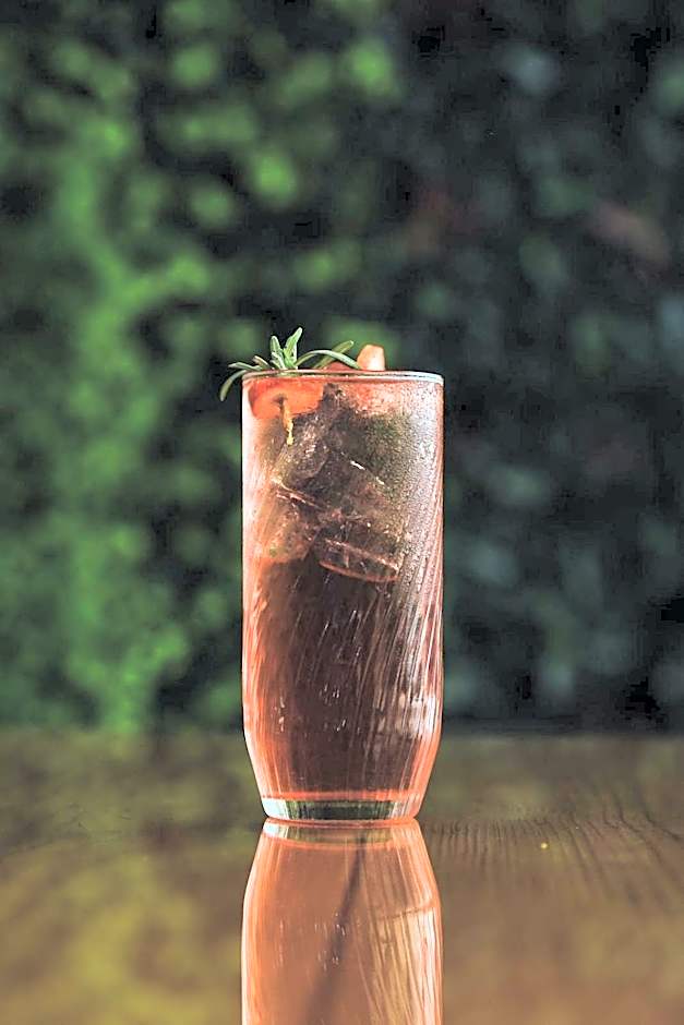 Hotel Camino de Piedra