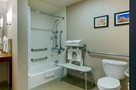 Accessible Suite, 1 King Bed with Sofa Bed, Tub, Non Smoking