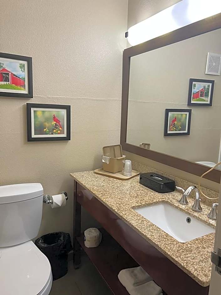 Comfort Inn Near Kokomo Speedway