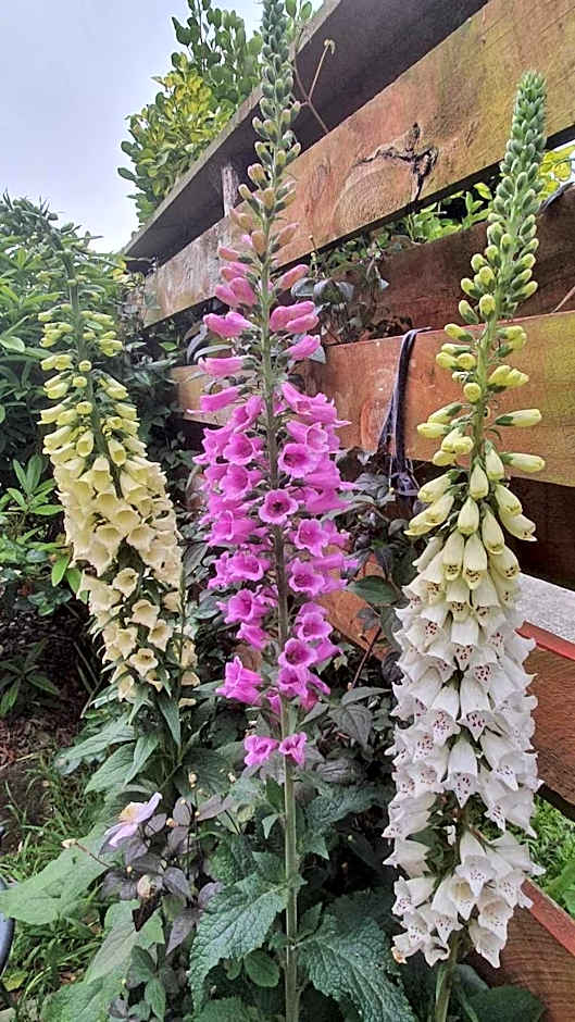 Century House B & B flatlette