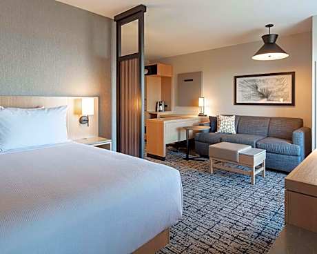 Specialty King Room with Sofa Bed