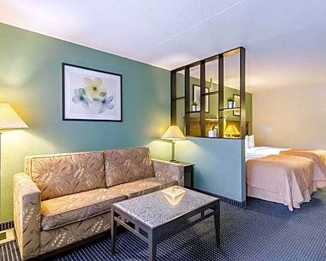 Standard Double Suite