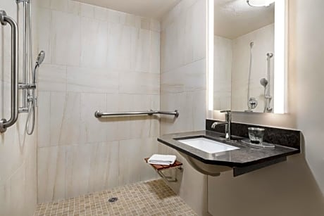 Queen Studio Suite - Disability Access Roll-In Shower