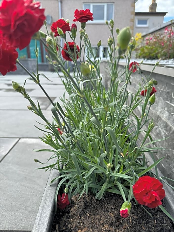 The Milton Accommodation