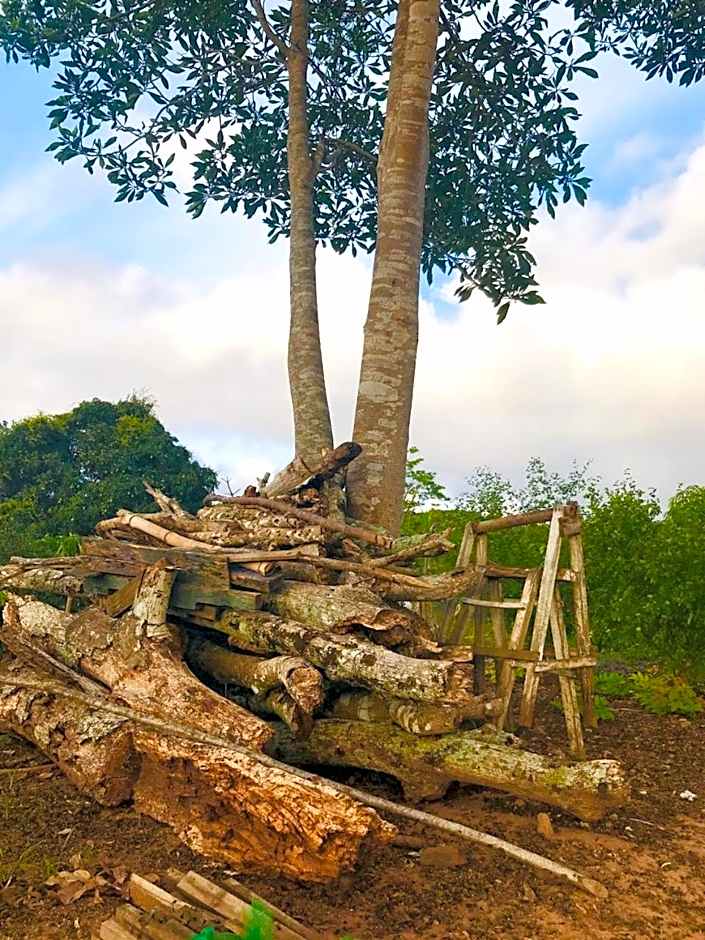 Chalé com Vista Privilegiada