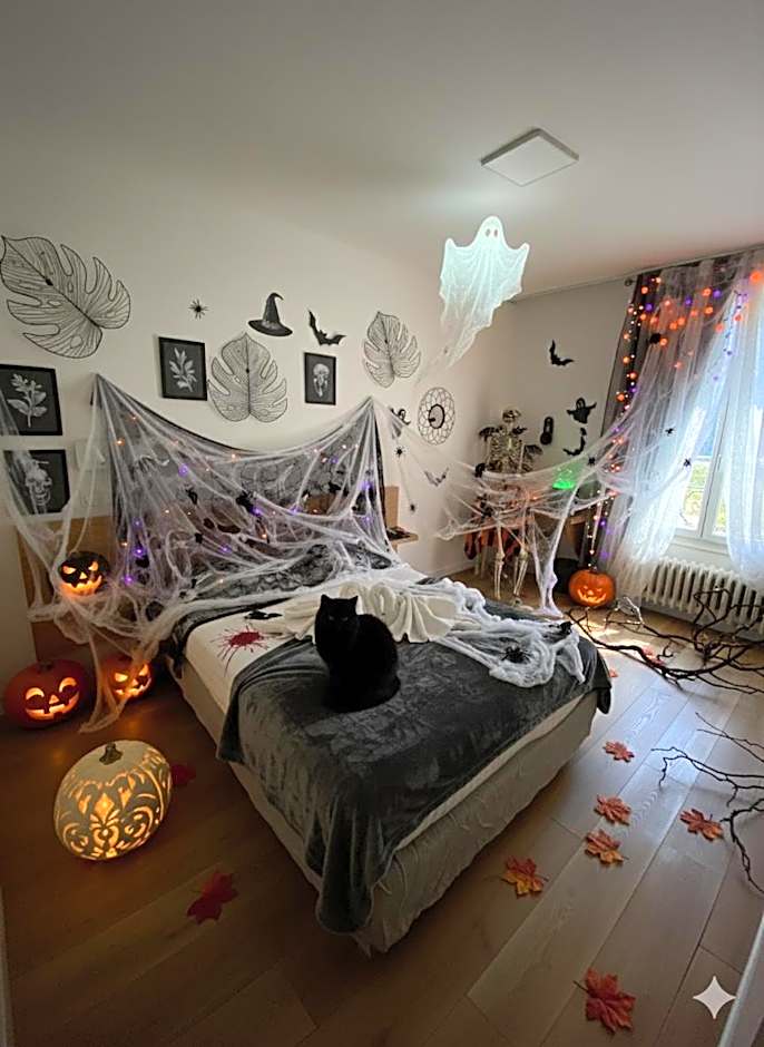 Hôtel du cirque Troyes centre historique