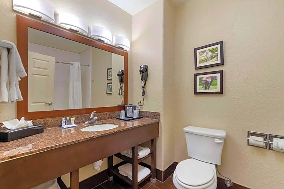 Comfort Inn & Suites Near Six Flags & Medical Center