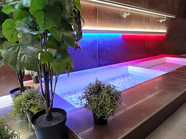 Anna SPA & Wellness Hotel Nejdek