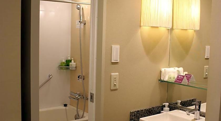 Hotel Ryumeikan Tokyo