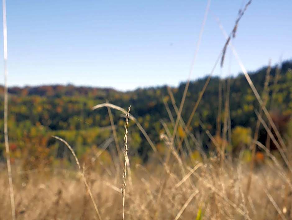 Hotel Żywiecki Medical SPA & Sport Żywiec